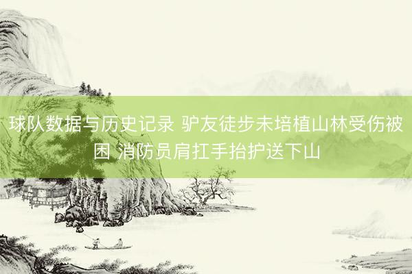 球队数据与历史记录 驴友徒步未培植山林受伤被困 消防员肩扛手抬护送下山