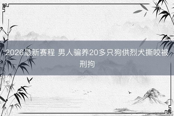 2026最新赛程 男人骗养20多只狗供烈犬撕咬被刑拘