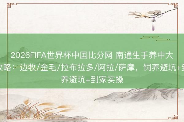 2026FIFA世界杯中国比分网 南通生手养中大型犬全攻略：边牧/金毛/拉布拉多/阿拉/萨摩，饲养避坑+到家实操