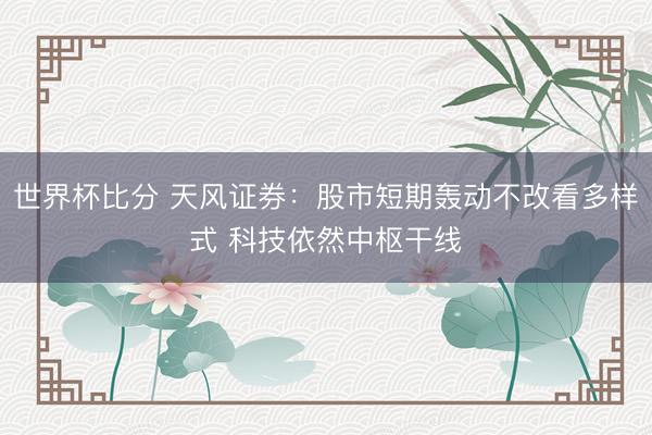 世界杯比分 天风证券：股市短期轰动不改看多样式 科技依然中枢干线