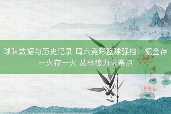 球队数据与历史记录 周六竞彩篮球强档：掘金存一火存一火 丛林狼力求赛点