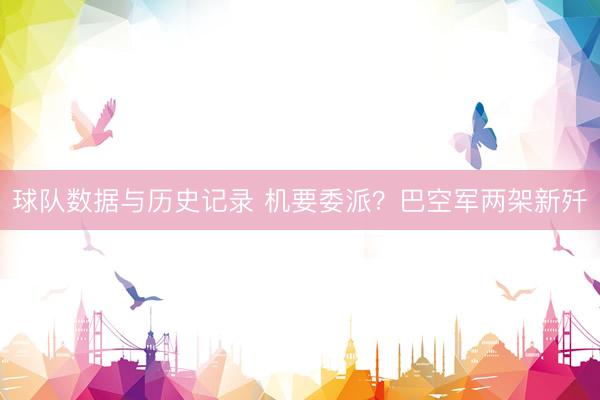 球队数据与历史记录 机要委派？巴空军两架新歼