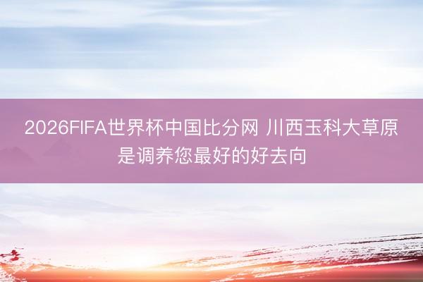 2026FIFA世界杯中国比分网 川西玉科大草原是调养您最好的好去向