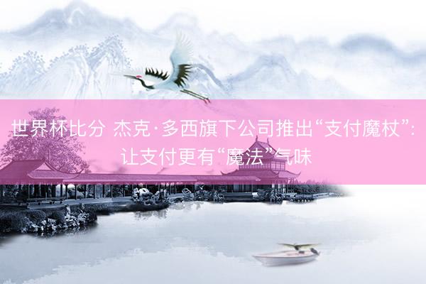 世界杯比分 杰克·多西旗下公司推出“支付魔杖”: 让支付更有“魔法”气味