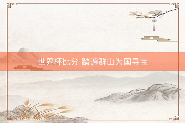 世界杯比分 踏遍群山为国寻宝