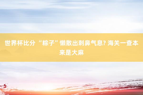 世界杯比分 “粽子”懒散出刺鼻气息? 海关一查本来是大麻